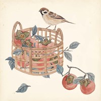Basket with Fruit IV Framed Print
