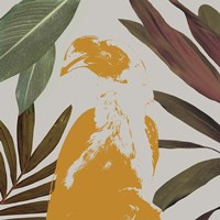 Graphic Tropical Bird II Framed Print