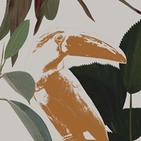 Graphic Tropical Bird III Framed Print