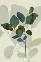 Green Leaves 7 Framed Print
