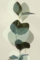 Green Leaves 8 Framed Print