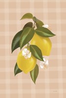 Lemon Botanical I Framed Print