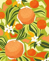 Tangerine Grapefruit Framed Print