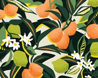 Sweet Orange Lime Framed Print