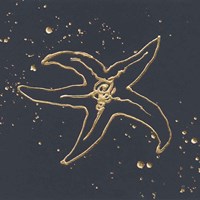 Gold Starfish III Framed Print