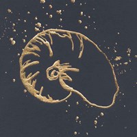 Gold Nautilus I Framed Print