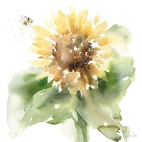 Sunflower Meadow III Framed Print