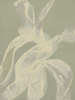 White Ribbon on Celadon I Framed Print