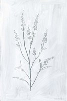 Milkweeds I Framed Print