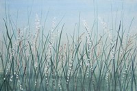 Tall Grass II Framed Print