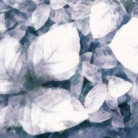 Blue Shaded Leaves II Framed Print