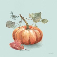 Autumn in Nature 04 on Aqua Framed Print