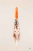 Floating Feathers I Framed Print