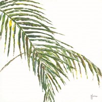 Two Palm Fronds II Framed Print