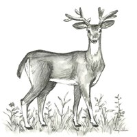 Watercolor Pencil Forest XI-Deer 2 Framed Print