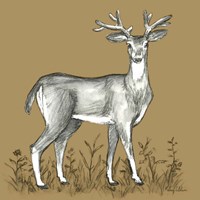 Watercolor Pencil Forest color XI-Deer 2 Framed Print