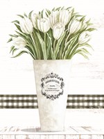 White Tulips Framed Print
