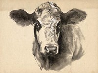 Charcoal Cow I Framed Print