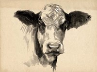 Charcoal Cow II Framed Print