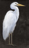 White Heron Portrait I Framed Print