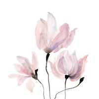 Floral Sway IV Framed Print