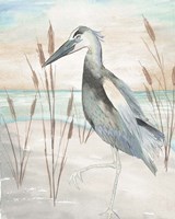 Heron by Beach Grass II Framed Print