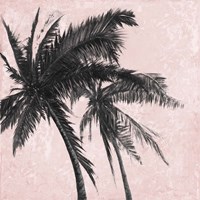 Gray Palm on Pink II Framed Print