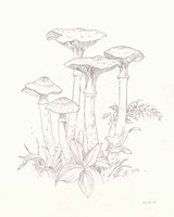 Nature Sketchbook I Framed Print