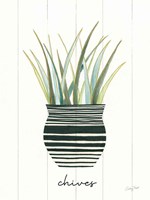 Herb Garden VI Framed Print