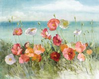 Coastal Poppies Light. Fine Art Print