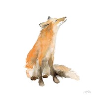 Dreaming Fox on White Framed Print