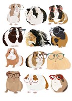 Guinea Pigs In Glasses Framed Print
