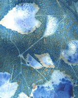 Cyanotype Leaves I Framed Print