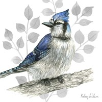 Backyard Birds I-Blue Jay Framed Print