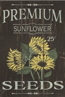 Sunflower Seeds Framed Print