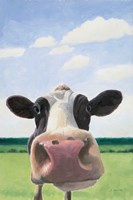Funny Cow Framed Print