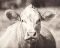 Pasture Cow Neutral Framed Print