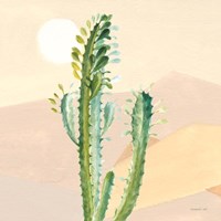 Desert Greenhouse II Framed Print