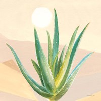 Desert Greenhouse V Framed Print