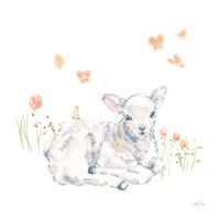 Spring Lambs III Framed Print