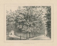 French Park Etching II Framed Print