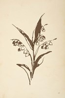 Vintage Line Lily of the Valley I Framed Print
