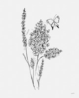 Among Wildflowers I Framed Print