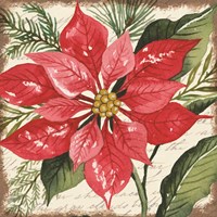 Red Poinsettia Botanical Framed Print