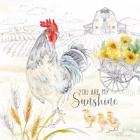 Good Morning Sunshine VIII-My Sunshine Framed Print