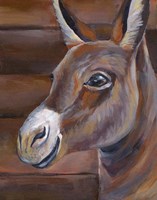 Barn Donkey Framed Print