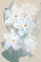 Narcissus II Framed Print