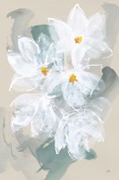 Narcissus I Framed Print
