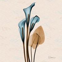 Calla Lily Blue Brown Framed Print