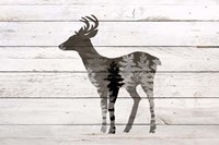 Deer 2 Framed Print